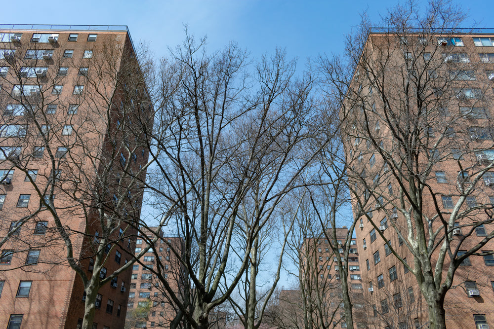 Section 8 Owner Enters into a Racial Equity Agreement with HUD